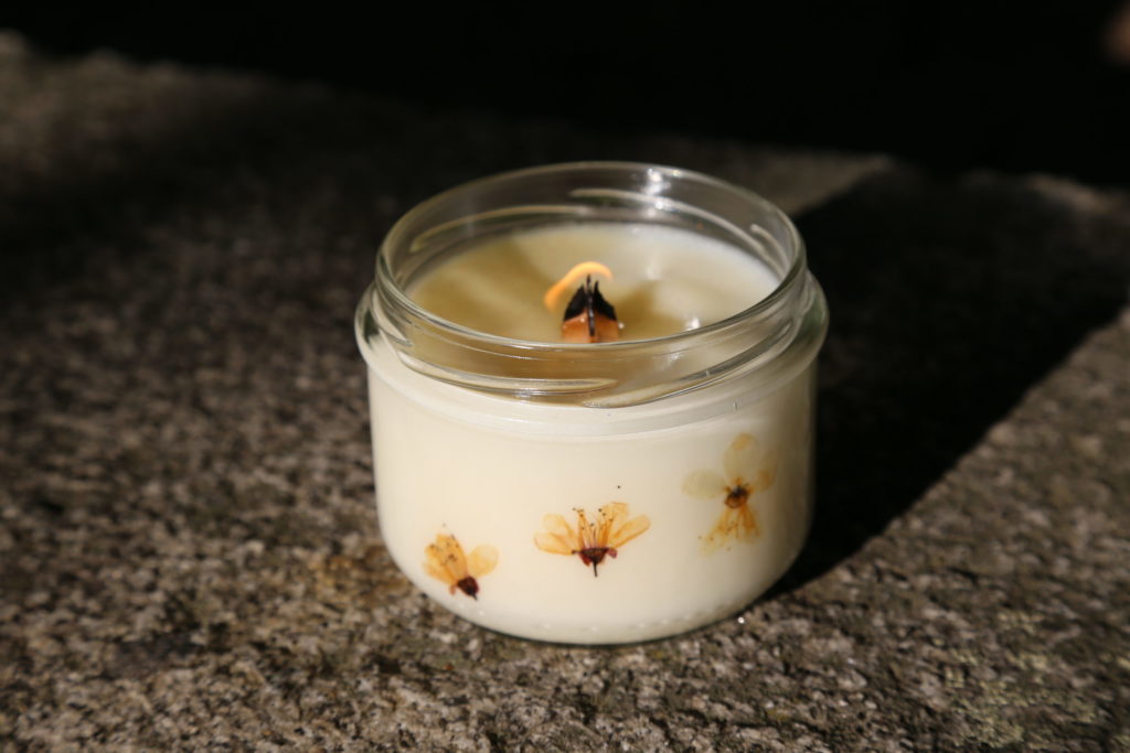 B5A6EBBA-638A-478B-B91D-BBEB0DB069EB